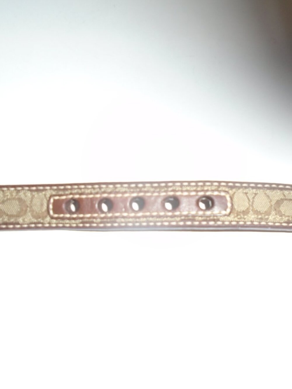 COACH BROWN LEATHER BROWN JACQUARD SIGNATURE C DOG PET COLLAR 60178 SIZE SMALL - Picture 11 of 16